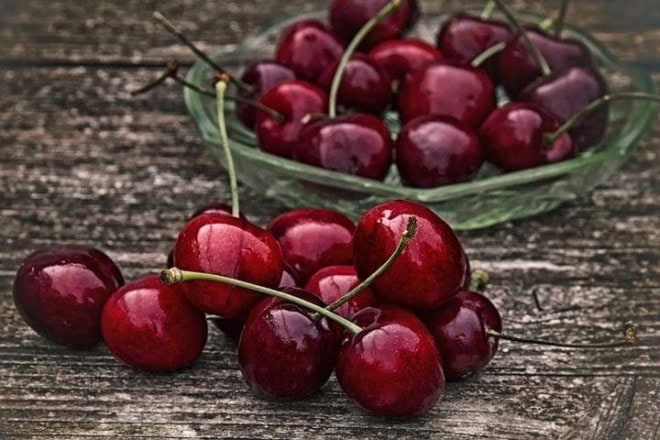Czereśnia Lapins cerasus Lapins 3