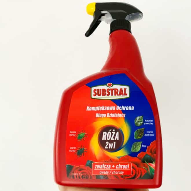 SUBSTRAL do róży 2w1 - chroni i zwalcza! SUBSTRAL do róży 2w1 - chroni i zwalcza! 1