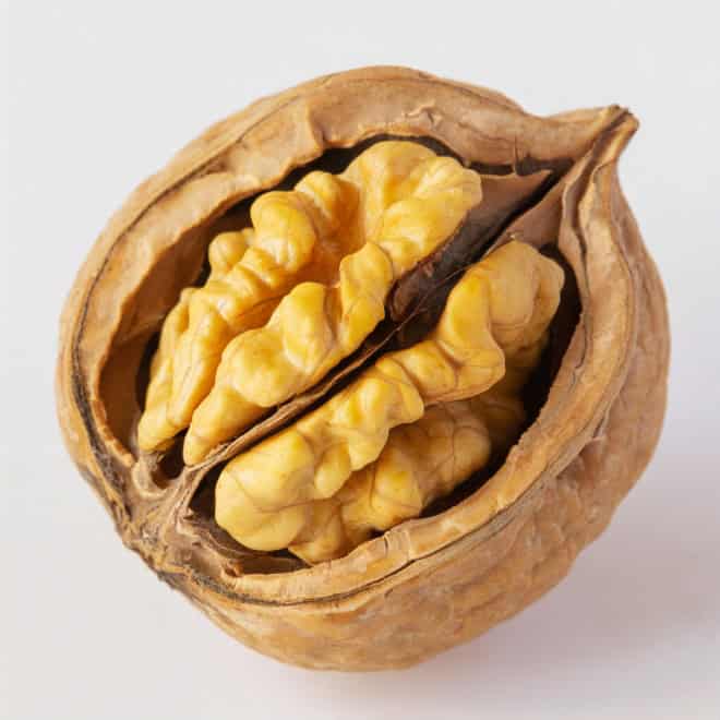 Orzech włoski kopany z gruntu Orzech włoski kopany z gruntu 3