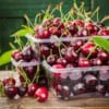 Wiśnia SABINA - POLSKA ODMIANA Prunus cerasus SABINA 7