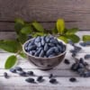 Jagoda kamczacka INDIGO GEM - OBFICIE OWOCUJĄCA Lonicera caerulea L. var. kamtschatica 'INDIGO GEM' 7