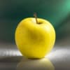 Jabłoń ANTONÓWKA - stara i wczesna odmiana! Malus ANTONÓWKA 6