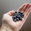 Jagoda kamczacka MORENA - BARDZO WCZESNA ODMIANA Lonicera caerulea L. var. kamtschatica 'MORENA ' 4