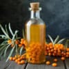 Rokitnik pospolity - zdrowe owoce Hippophae rhamnoides 8
