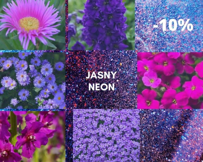 Jasny Neon zestaw 10 Fioletowych bylin -10%! Jasny Neon zestaw 10 Fioletowych bylin -10%! 1