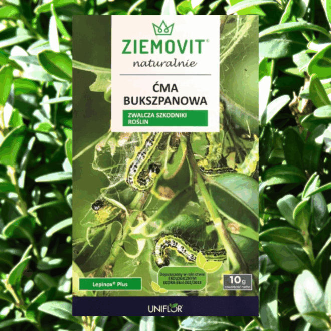 ZIEMOVIT Ćma bukszpanowa Lepinox Plus 10 g- SKUTECZNY PREPARAT ZIEMOVIT Ćma bukszpanowa Lepinox Plus 10 g 1