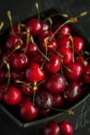 Wiśnia SABINA - POLSKA ODMIANA Prunus cerasus SABINA 5
