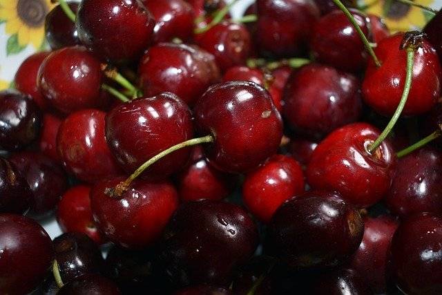 Czereśnia Lapins cerasus Lapins 5