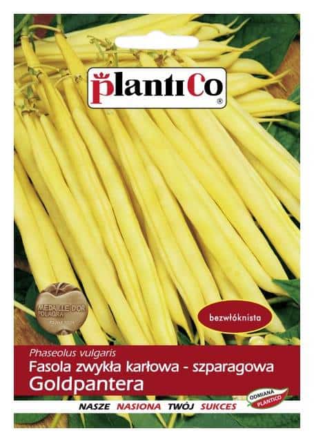 Żółta mozaika fasoli BYMV – objawy, zwalczanie i jak nie pomylić jej z innymi chorobami fasoli