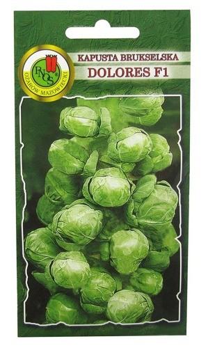 Kapusta brukselka Dolores (mieszaniec f1)