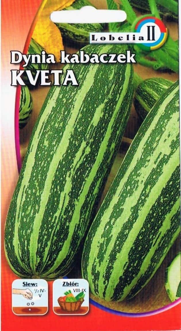 Dynia kabaczek Kaveta 3g