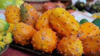Kiwano - niezwykły ogórek 0.15g Kiwano - niezwykły ogórek 0.15g 1