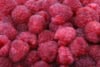 Malina Norna czerwona - silnie owocująca Rubus 'Norna' 5