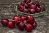 Wiśnia KELLERIS - Samopylna Prunus cerasus KELLERIS 3