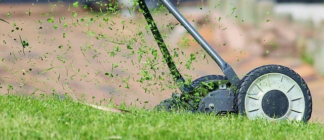 Jaki koszt trawnika? Poradnik cenowy dla zakupu i zakładania z rolki