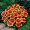 3f45cd5ba8990f756cc3bb8cc814cc87