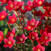 5d8ff6f3401e87520ed6bc3240163ee4