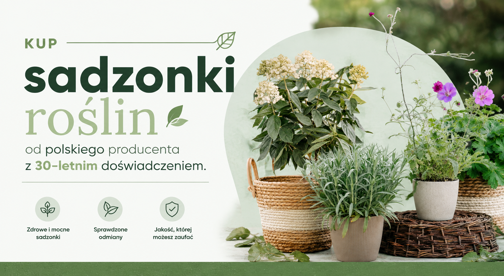 Turkuć podjadek – jak go rozpoznać i skutecznie ograniczyć szkody w ogrodzie