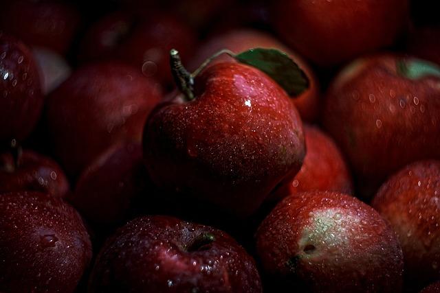 Jagody goji – właściwości, smak i zastosowanie owoców kolcowoju w diecie