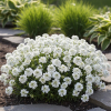 4f3d753ae6af4f2376f455dca494b814