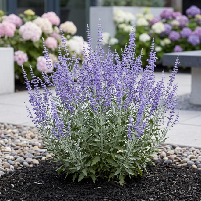 330f48008bbfd4ded4d26ce8f2c43085